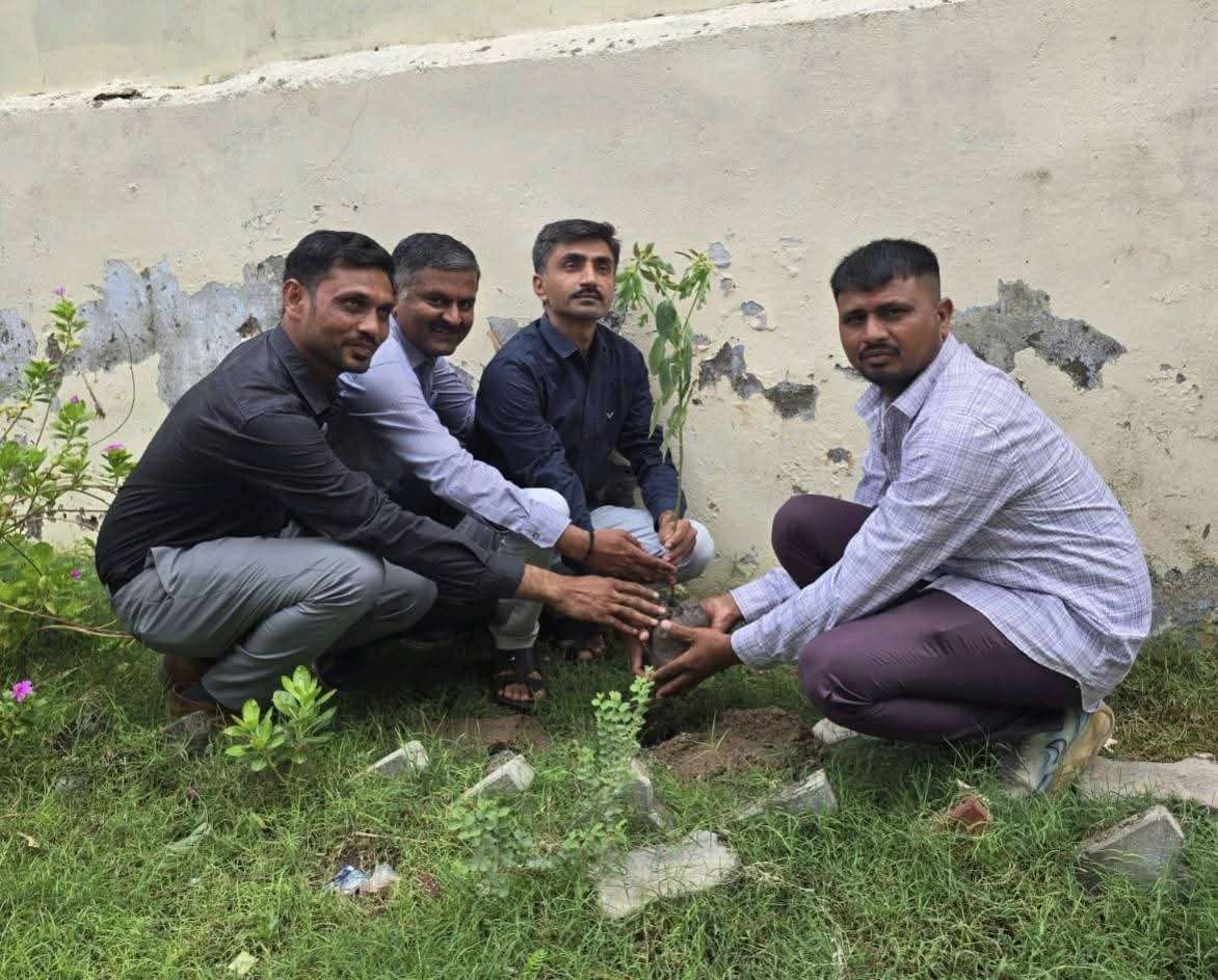 Environment