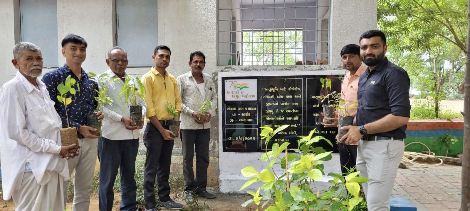 Tree Plantation Drive